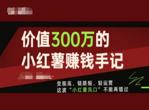 使用价值300万的小红书挣钱笔记，转现高、链接短、轻运营，这一波“小红书出风口”无法再错过了