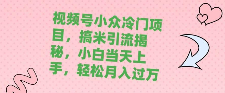 微信视频号冷门蓝海项目，搞米引流方法揭密，新手当日入门，轻轻松松月入破万