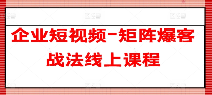 企业短视频-引流矩阵爆客战术在线课程