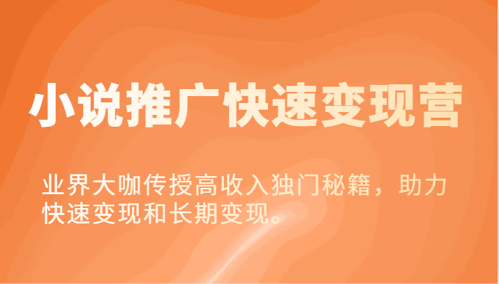 小说集营销推广收益最大化营-业内大佬教给高工资独门秘籍，助推收益最大化或长期转现。