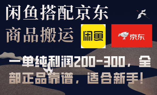 （7892期）闲鱼平台组合京东商城备份数据库运送，一纯粹盈利200-300，所有真品可靠，适合新手！