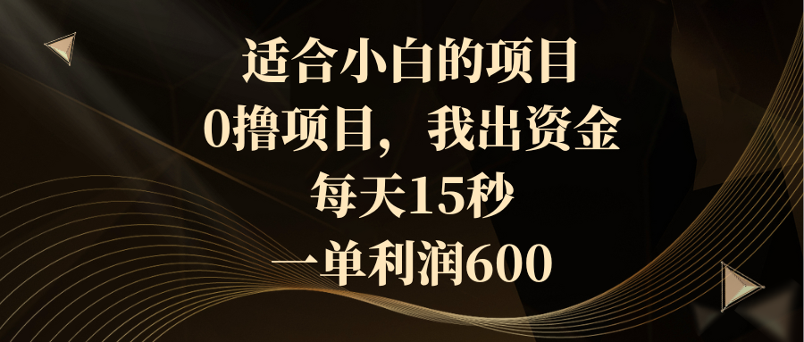 （8571期）适宜新手的新项目，0撸新项目，我出资产，每日15秒，一单利润600