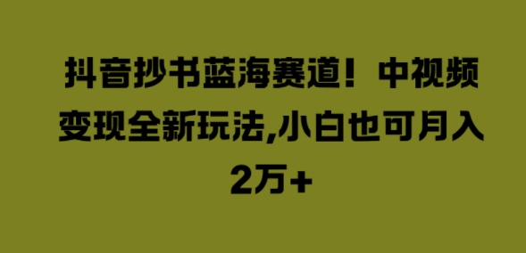 抖音抄书蓝海赛道，中视频变现全新玩法，小白也可月入2W+