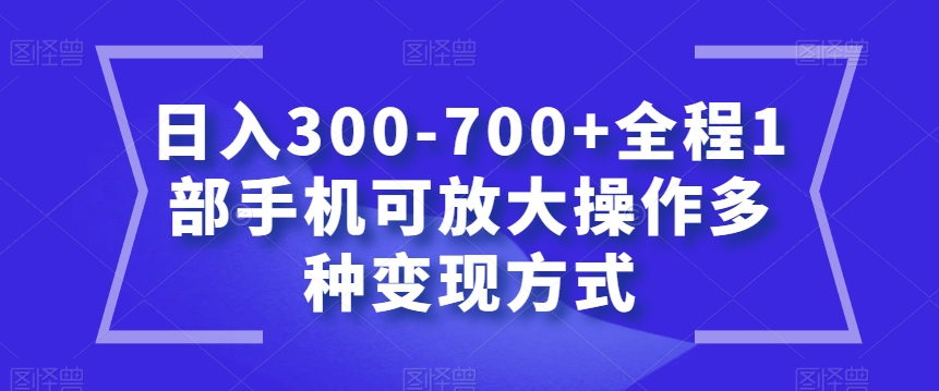 日入300-700 全过程1手机可变大实际操作多种多样变现模式【揭密】