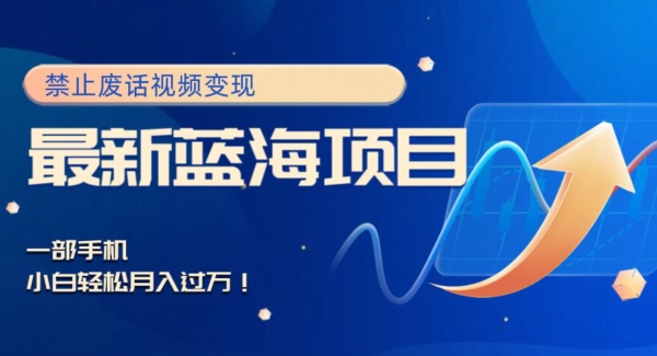 全新蓝海项目，靠严禁空话视频变现，一部手机，新手轻轻松松月入了万！-暖阳网-优质付费教程和创业项目大全