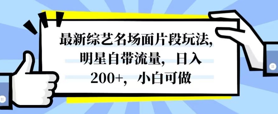 最新综艺名场面片段玩法，明星自带流量，日入200+，小白可做【揭秘】-暖阳网-优质付费教程和创业项目大全