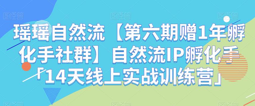 倩倩自然流【第六期赠1年卵化手社群运营】自然流IP卵化手「14外置天线上实战模拟暑期夏令营」