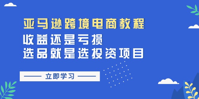 （11432期）亚马逊跨境电商教程：收益还是亏损！选品就是选投资项目