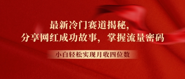 全新小众跑道揭密，分享网红成功的故事，新手快速掌握总流量登陆密码