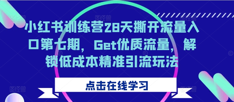 小红书的夏令营28天撕掉流量来源第七期，Get高品质总流量，开启降低成本精准引流方法游戏玩法