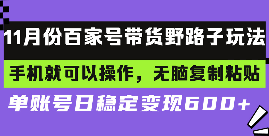 （13281期）百家号带货野路子玩法 手机就可以操作，无脑复制粘贴 单账号日稳定变现...