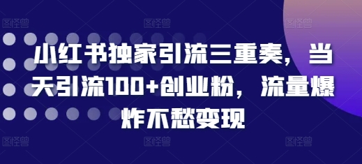 小红书独家引流三重奏，当天引流100+创业粉，流量爆炸不愁变现【揭秘】