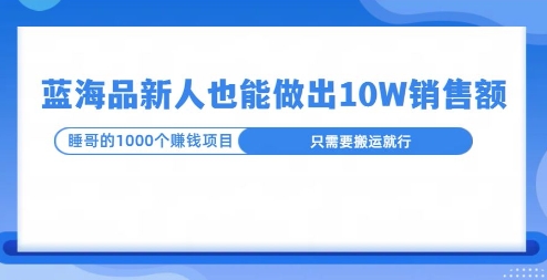 这个蓝海品，新号也能卖出10W的销售额，年底疯狂怼量就能出结果