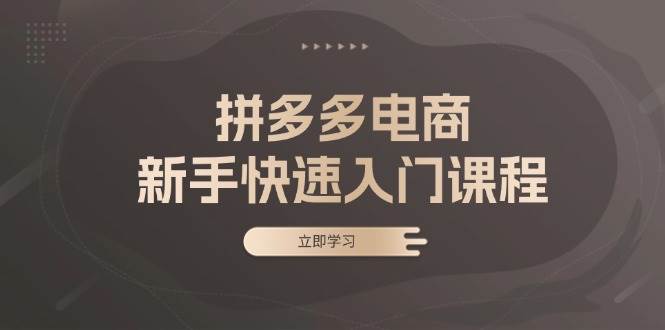 拼多多电商初学者迅速入门课程：包含基本、实战演练与选品，助推新手快速上手